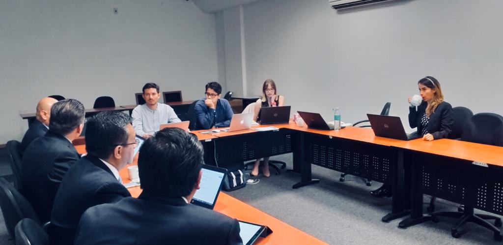 Entrevistas a servidores y servidoras públicas para la identificación de usos y necesidades de la Plataforma Digital Nacional (PDN)